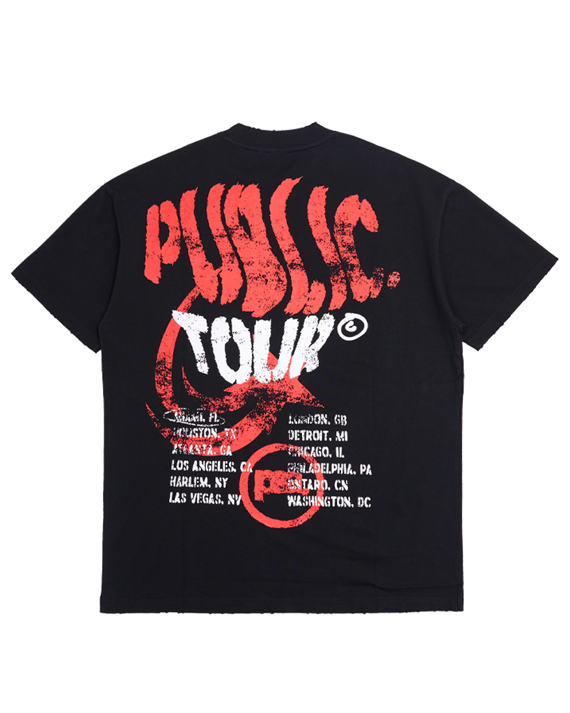 Public Tour Tee