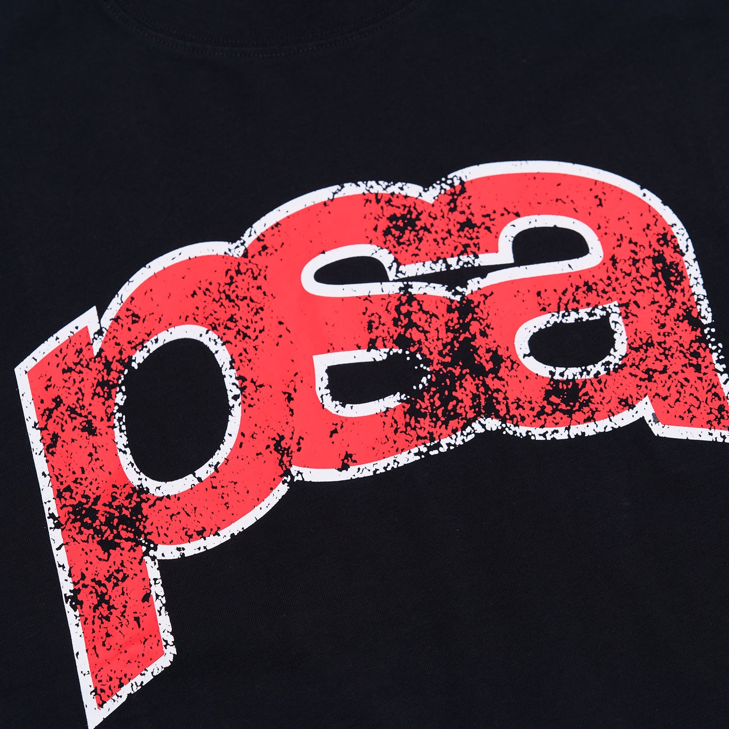 Public Tour Tee